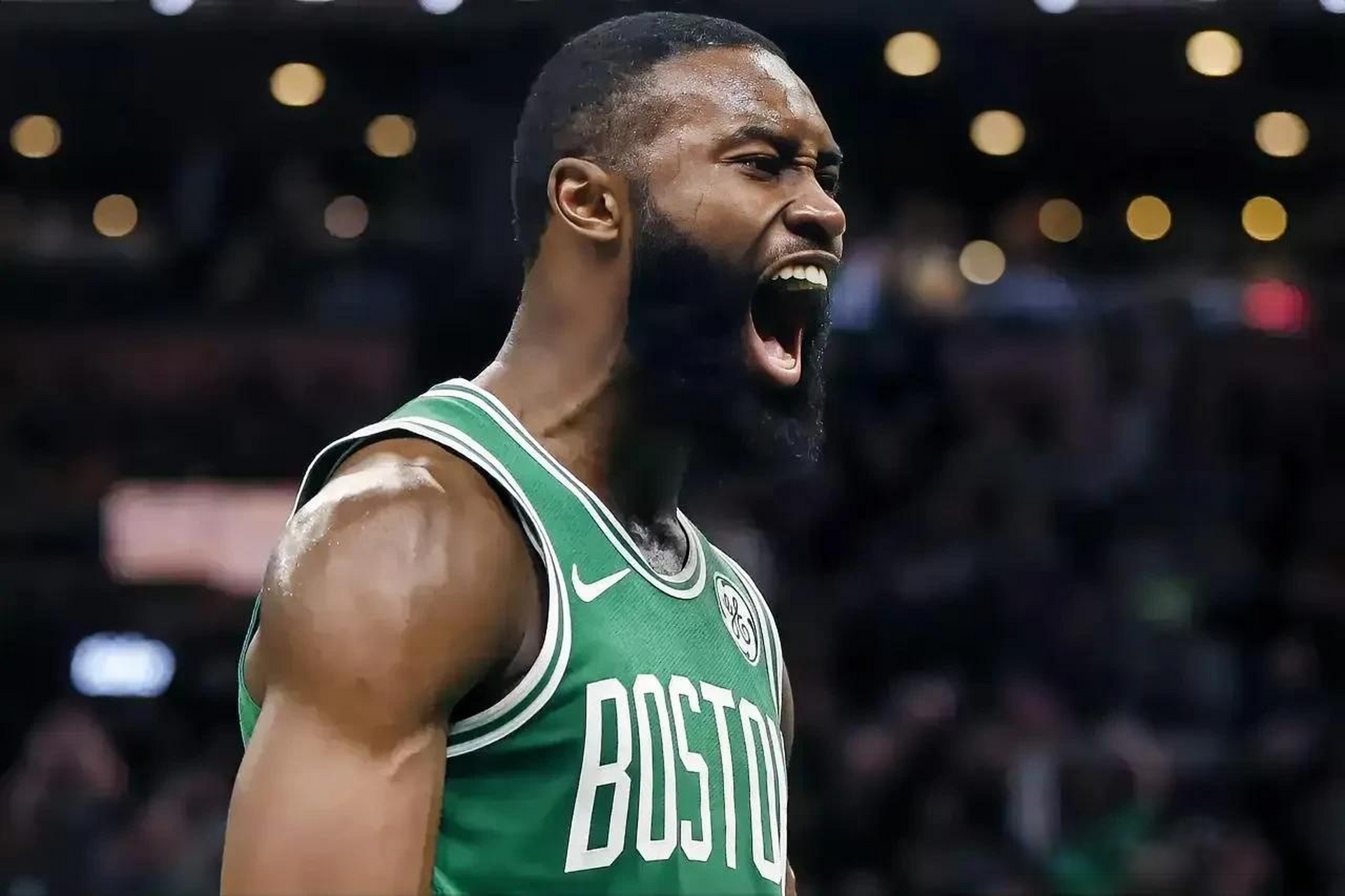 需要可视化 需要可视化